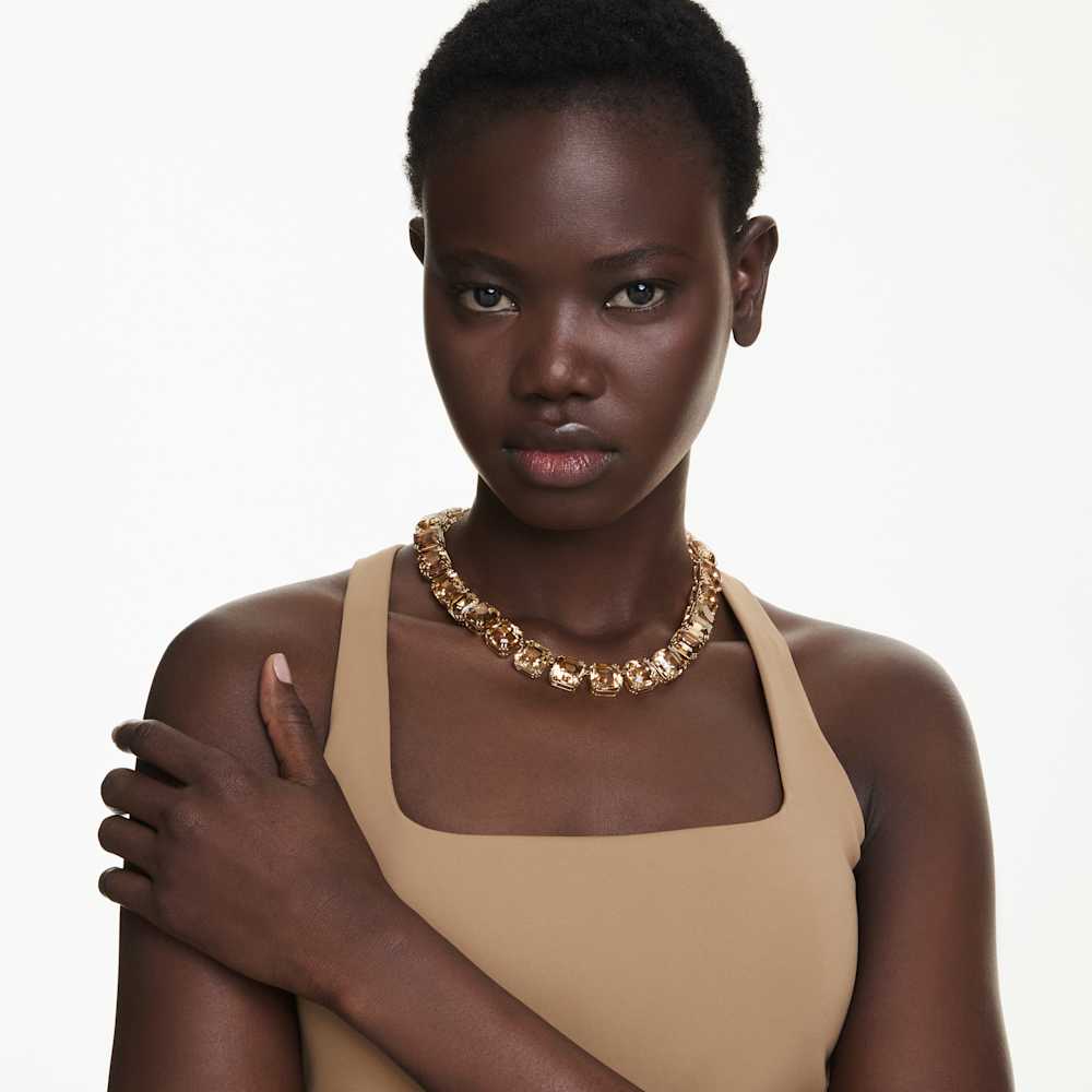 Imagem modelo efeito hover