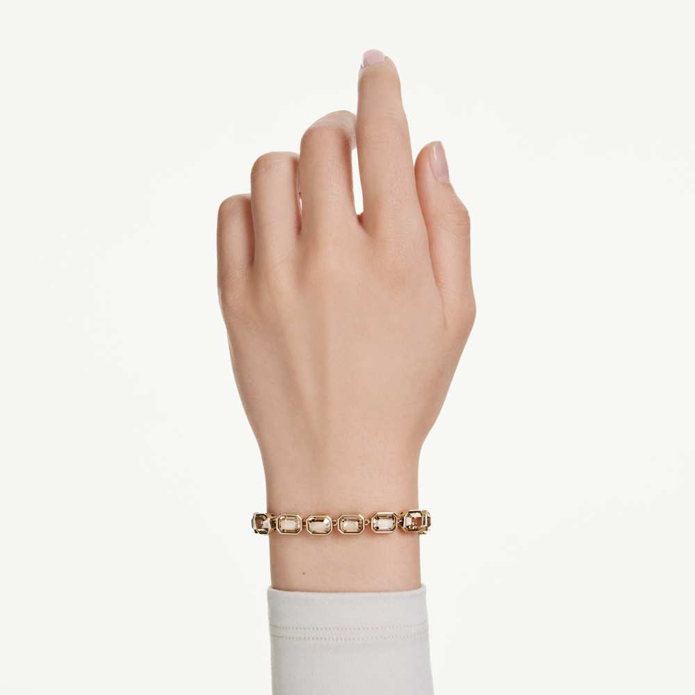 Imagem modelo efeito hover