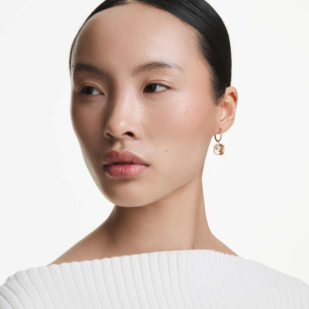 Imagem modelo efeito hover