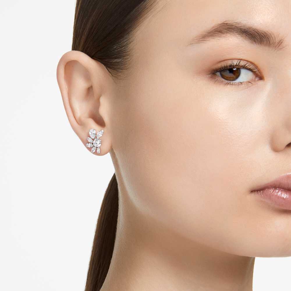 Imagem modelo efeito hover