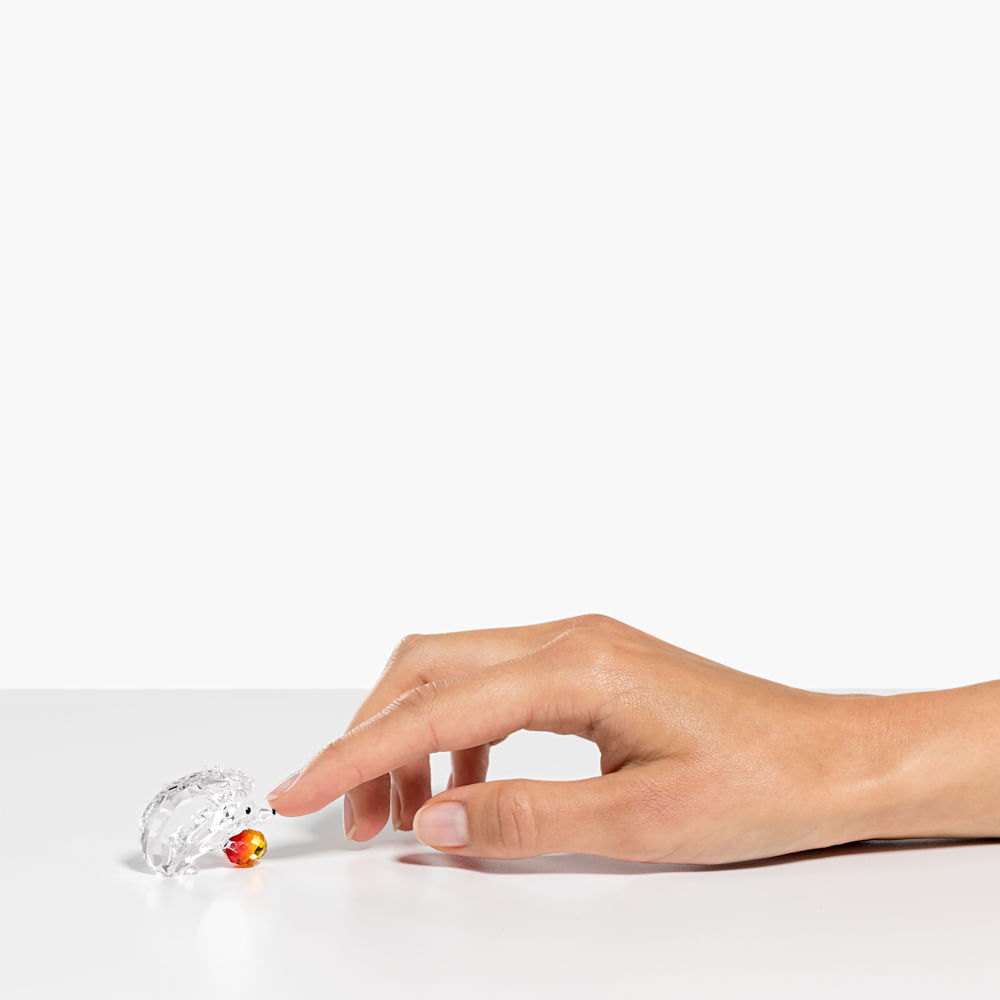 Imagem modelo efeito hover