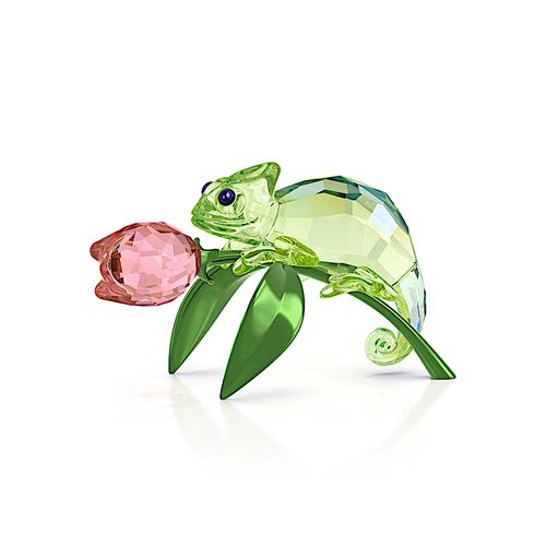 Idyllia Camaleão e Tulipa