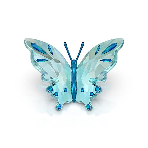 Idyllia Borboleta, Turquesa