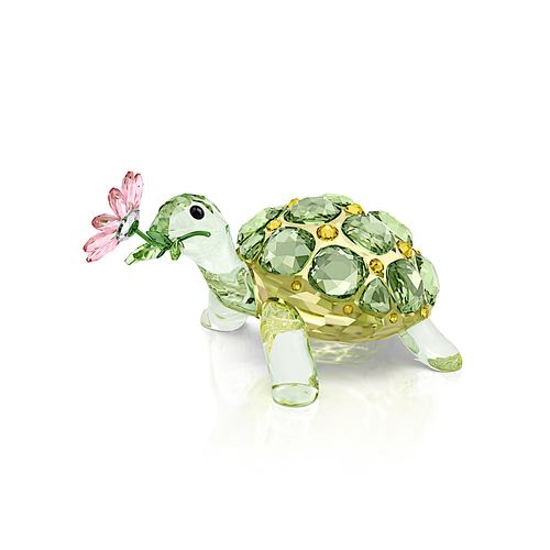 Idyllia Tartaruga e Margarida