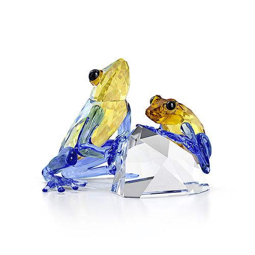 Idyllia Sapo e Bebé