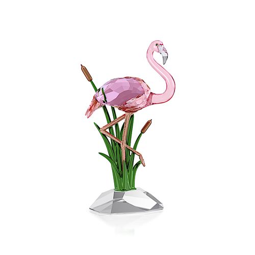 Idyllia Flamingo