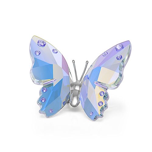 ?2026 Capsule Borboleta