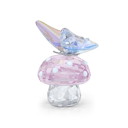 ?2026 Capsule Cogumelo e Borboleta